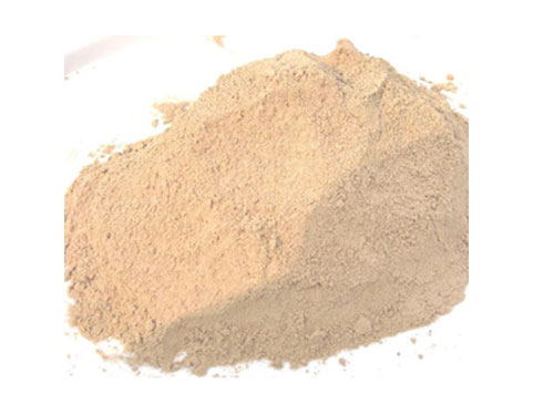 ���ͽ����